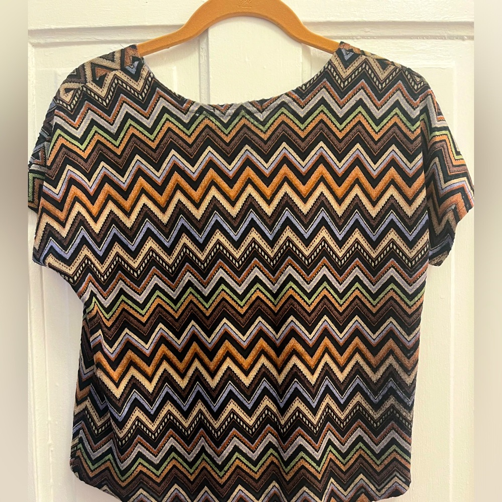 Vintage y2k earth tones crop top